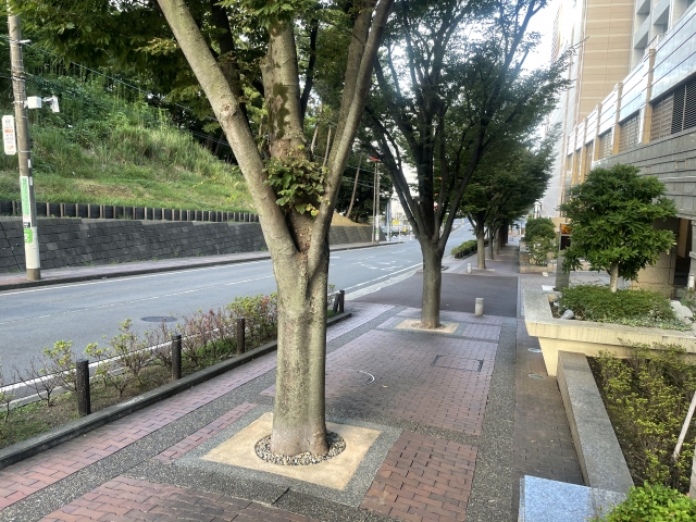 講座関連画像