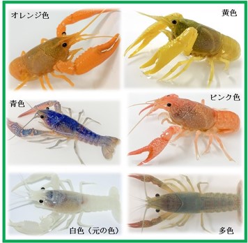 講座関連画像