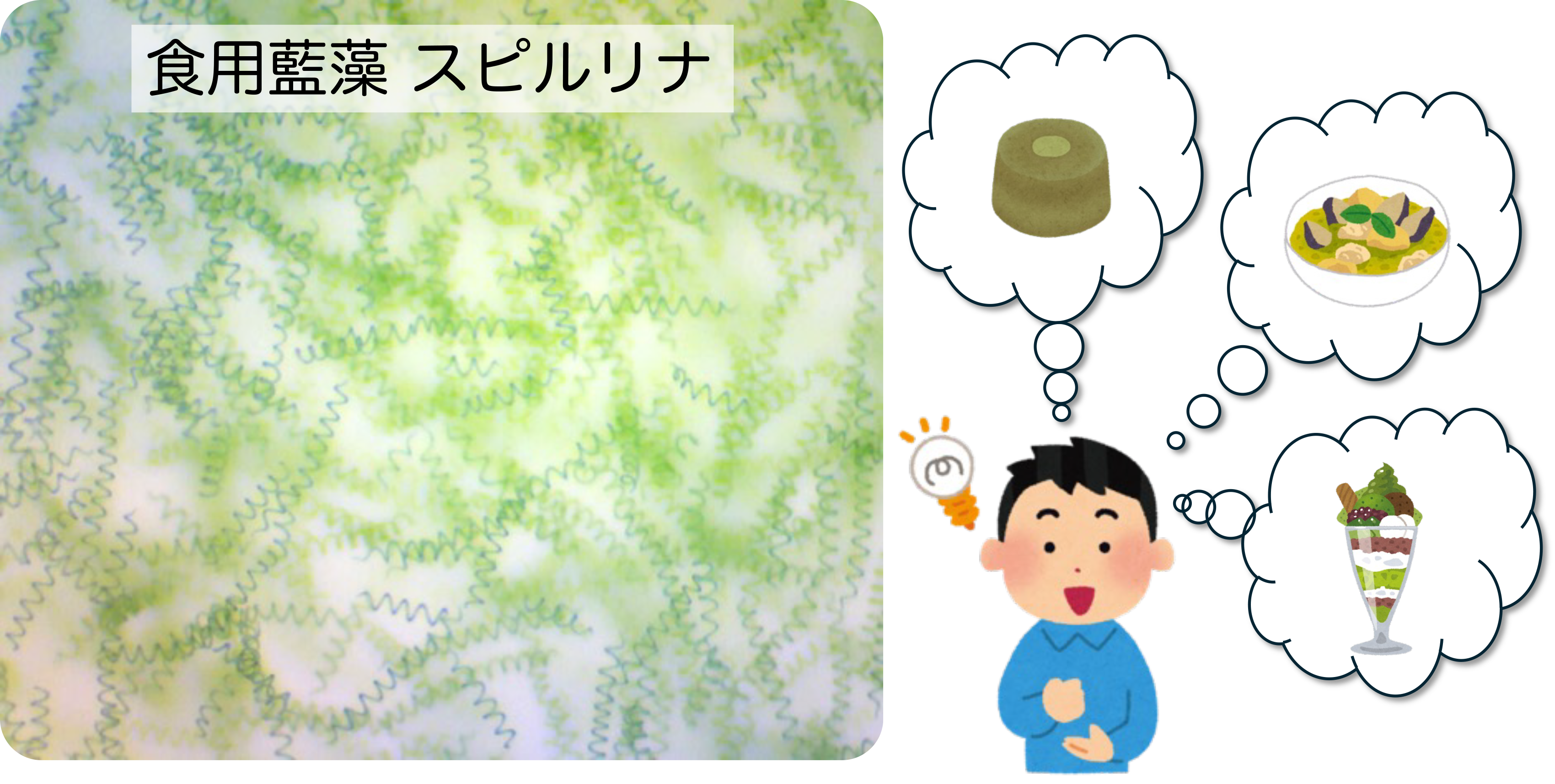 講座関連画像