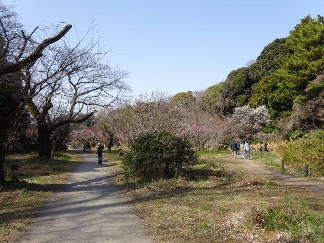 講座関連画像